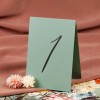 Numery stołów weselnych wolnostojące - Pistachio Envelope
