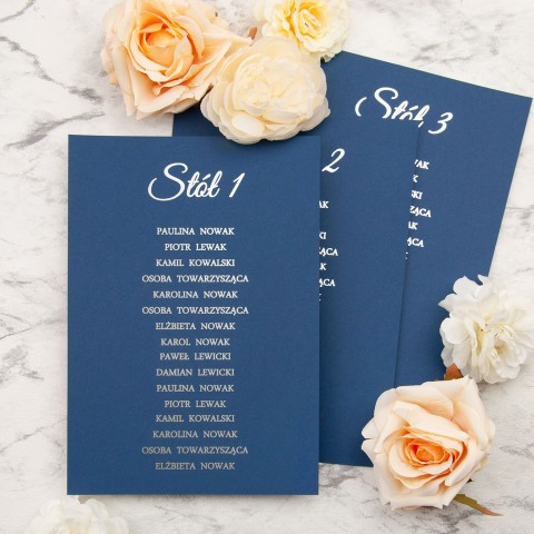 Plany stołów weselnych (rozmieszczenie gości) na pojedynczych kartach ze srebrnym wykończeniem - Blue Envelope